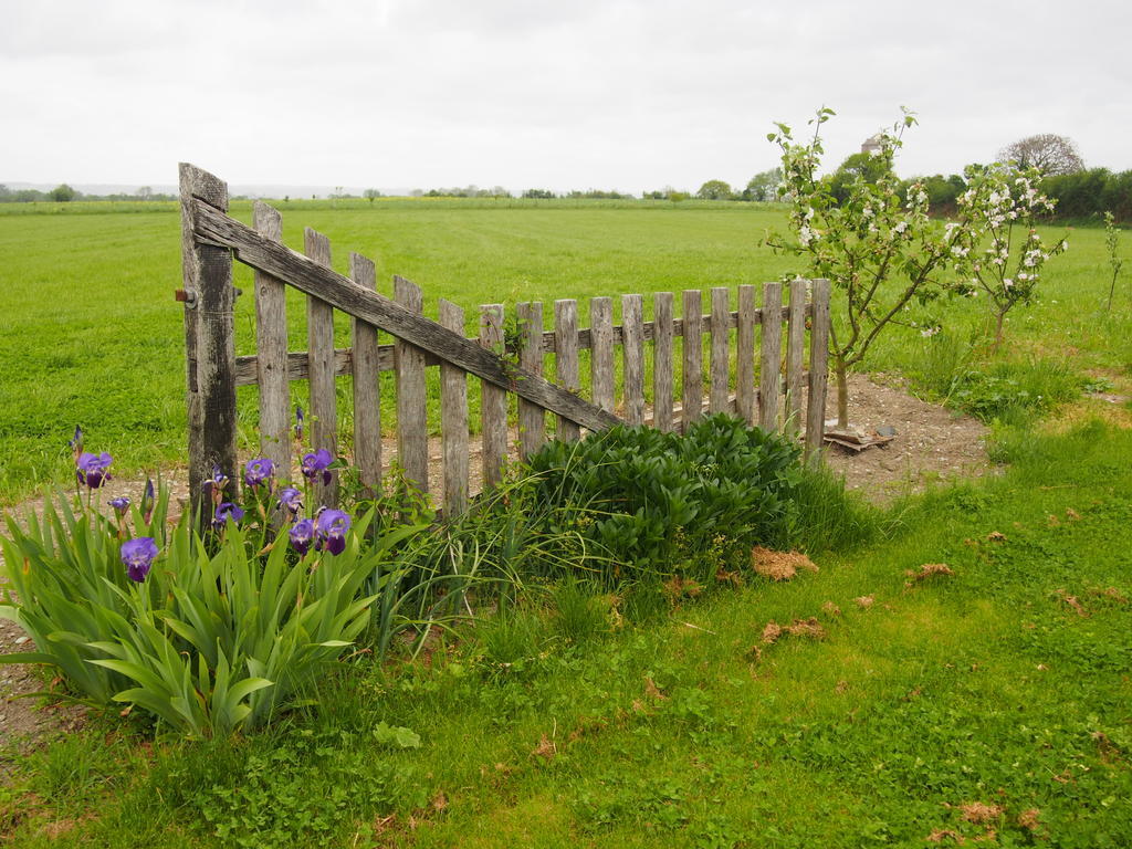Maison Tombelaine Vains Exteriér fotografie